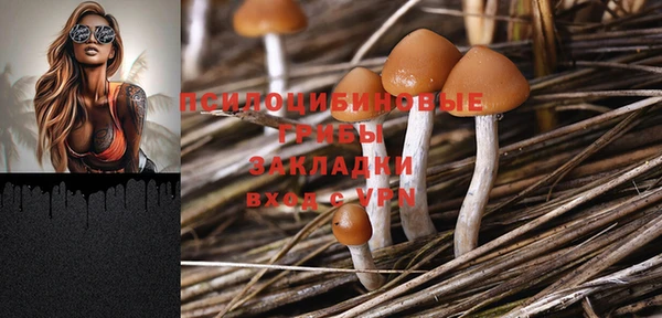 прущие крисы Михайловка