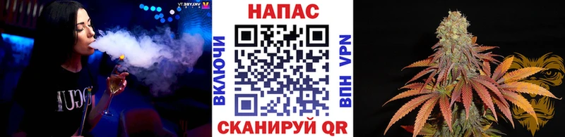 что такое наркотик  Псков  Конопля индика 